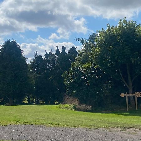 Roe Deer Meadow At Carr House Farm Hotel Scarborough Eksteriør billede
